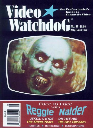 Video Watchdog 17