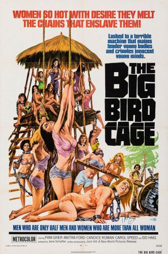 THE BIG BIRD CAGE One Sheet Poster